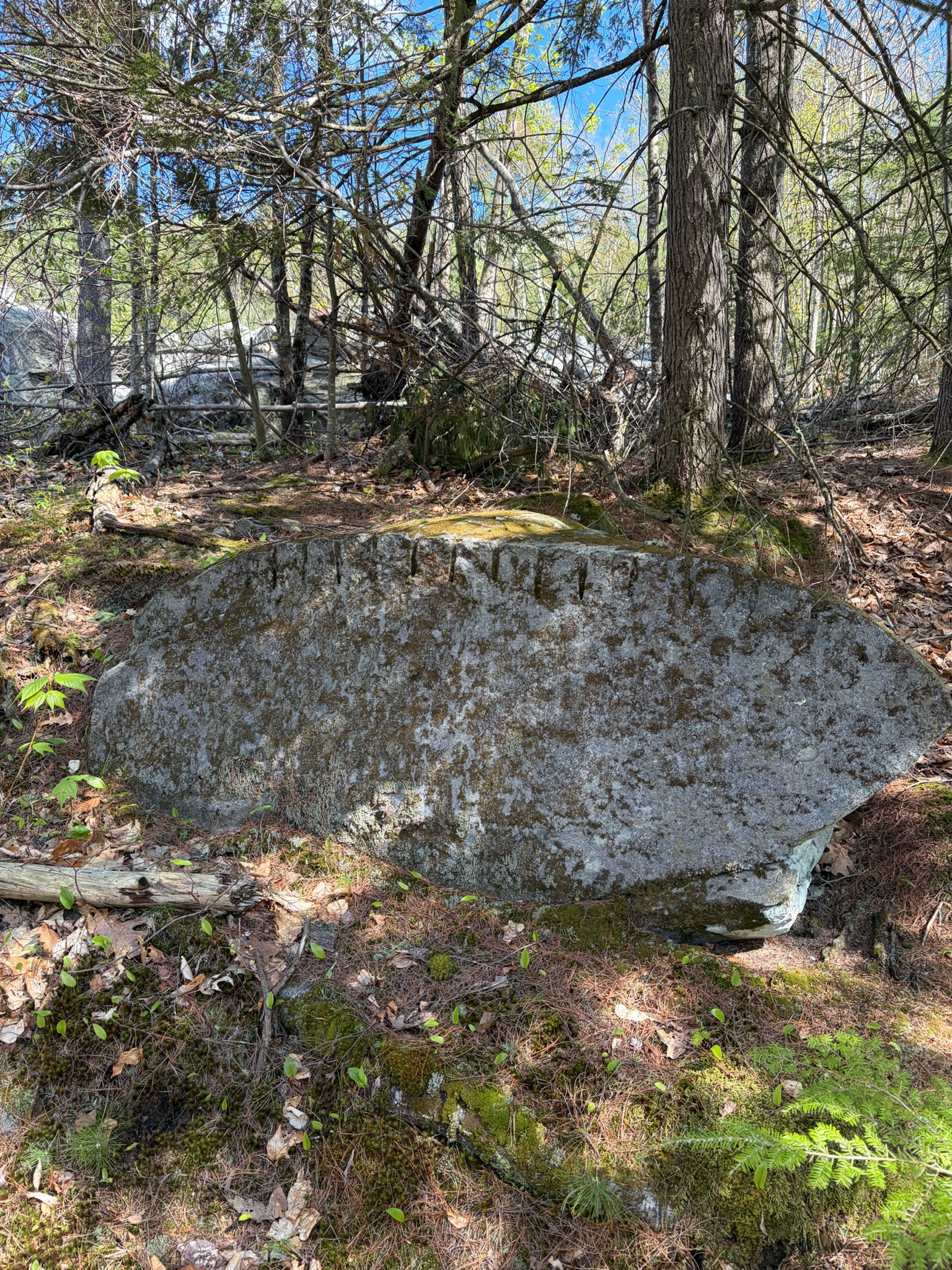 Antique weathered granite New England quarry