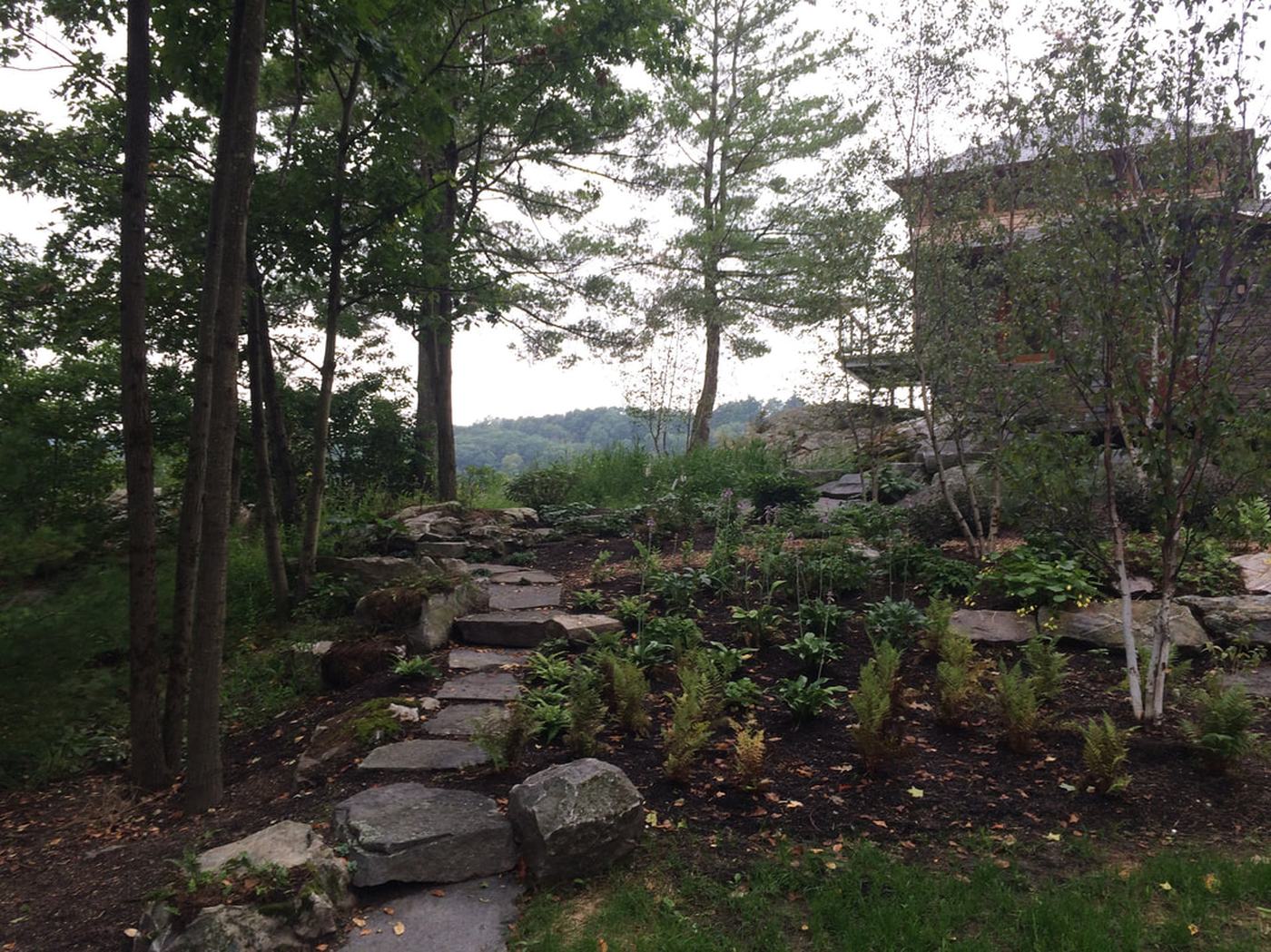 Granite woodland path and steps
